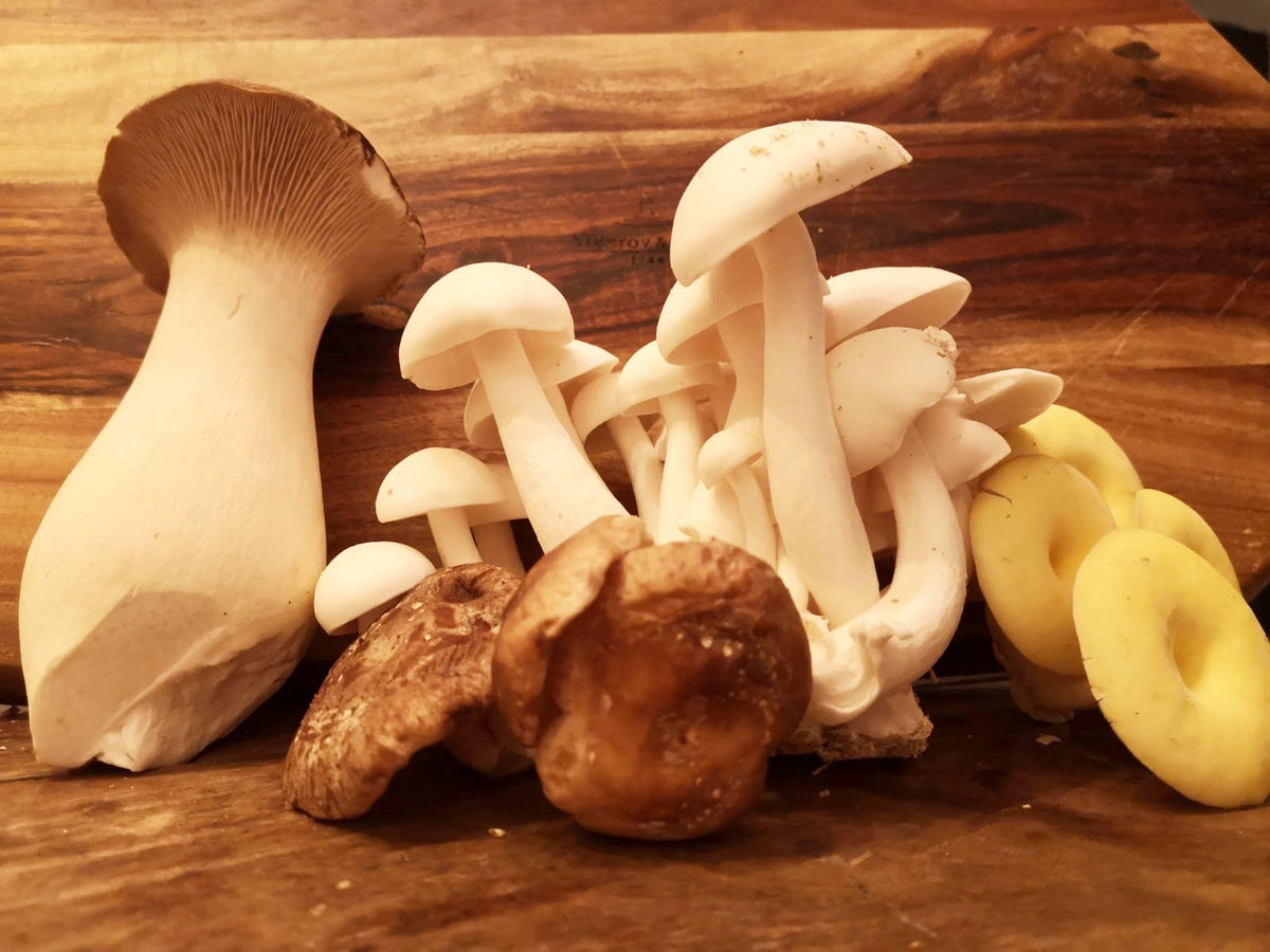 Frischer BIO-Edelpilz Mix aus dem Saarland