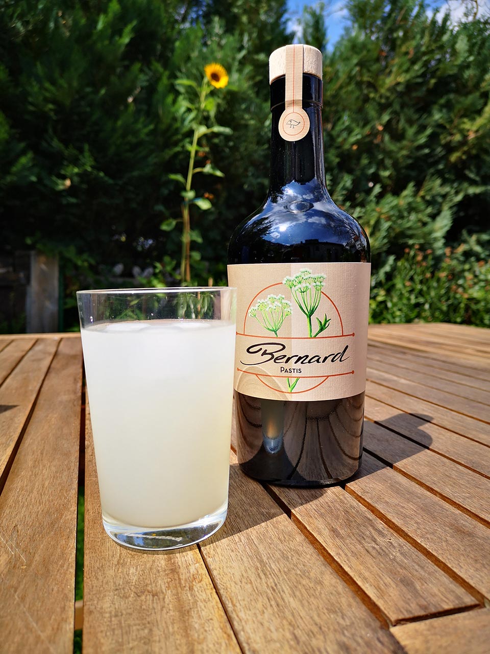 BIO Pastis Bernard