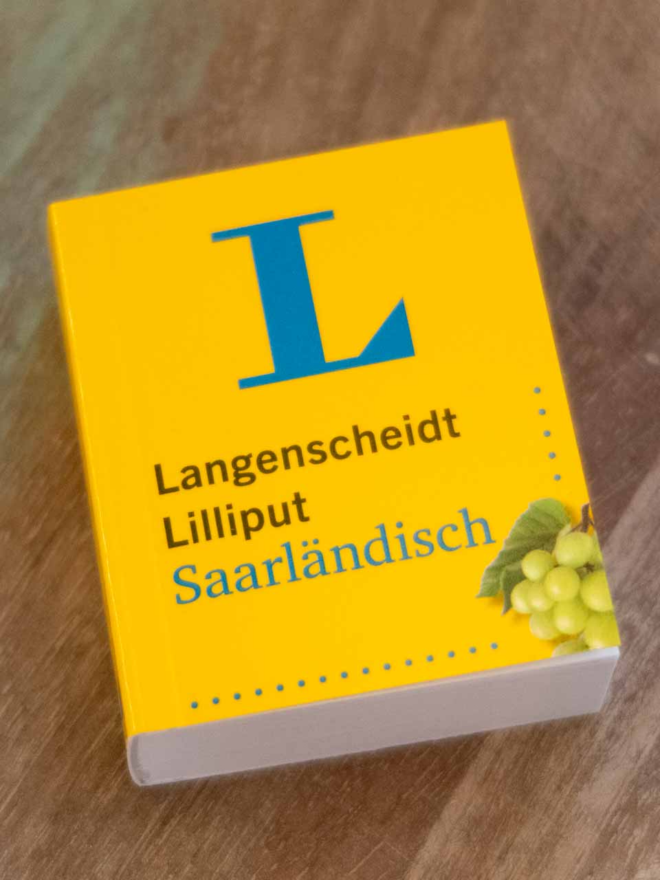 Langenscheidt Lilliput Saarländisch